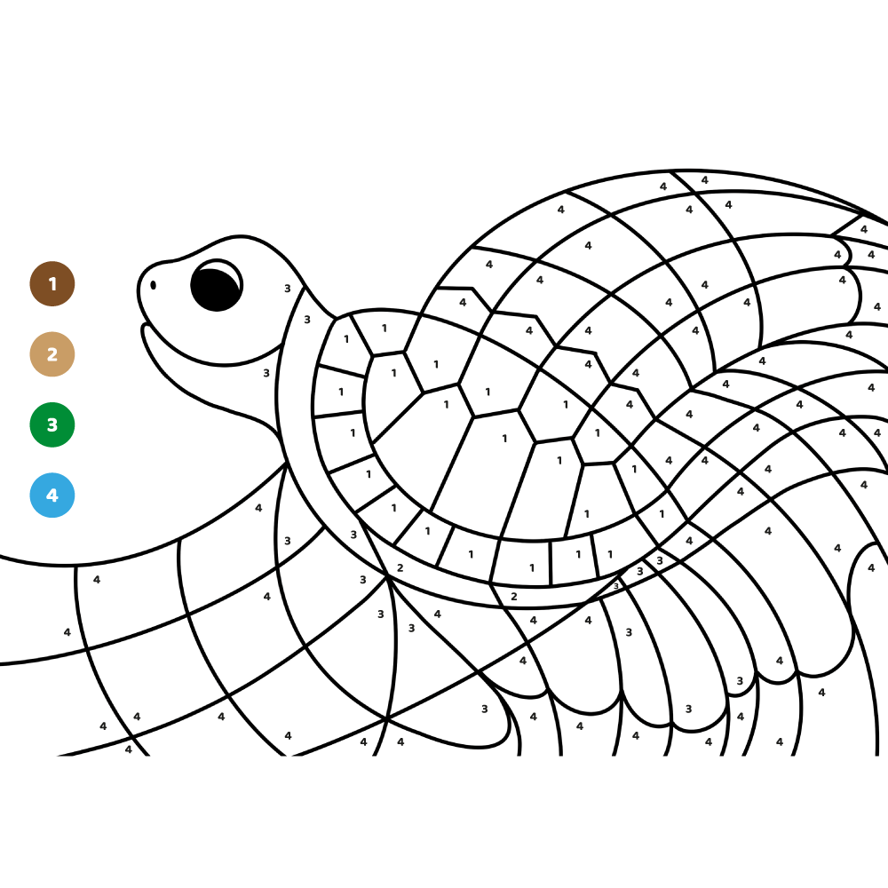 Foi de colorat pentru copii - Broască țestoasă